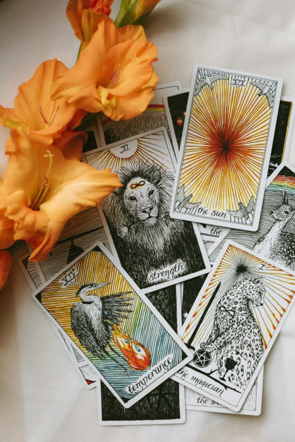 دک تاروت ناشناخته وحشی (The Wild Unknown Tarot)