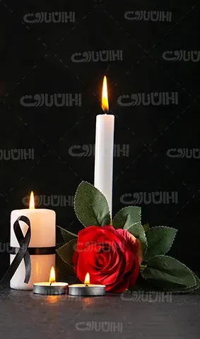 تاروت عمارت تاریکی 652 کد: 18